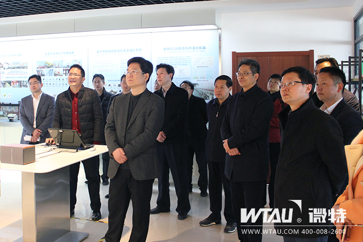 市委常委、組織部長(zhǎng)汪偉來(lái)微特調(diào)研