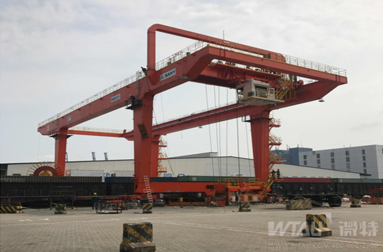 不負(fù)春光，微特人在行動(dòng)