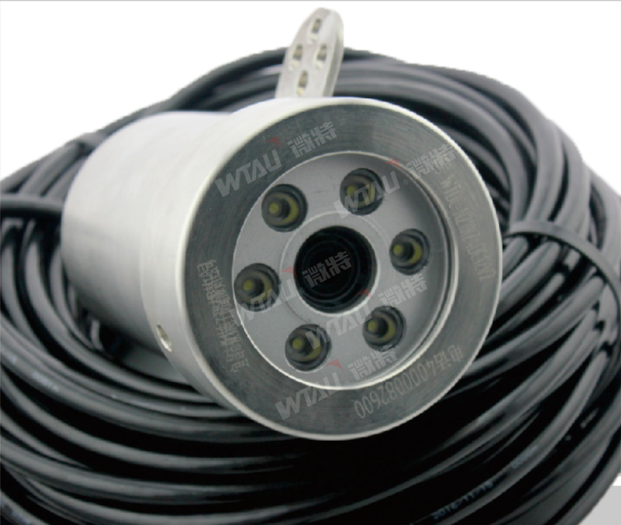 渾濁水域也能高清拍攝？揭秘微特水下攝像頭的硬核實力！